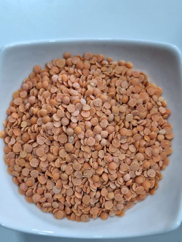Lenteja Roja
