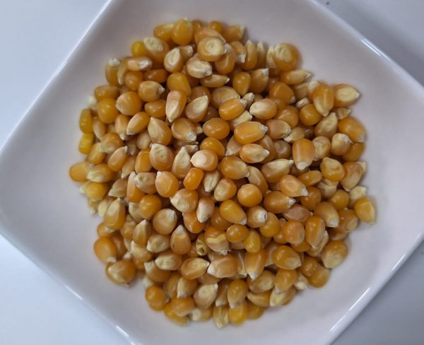 Maíz Curagua (Palomitas)